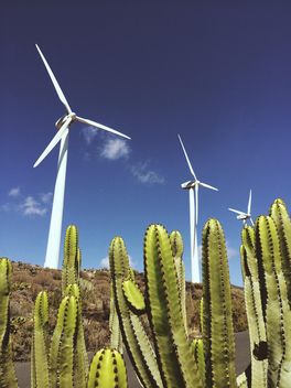 Landscape of cactus and windmills - Free image #330845