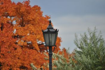 Autumn foliage and lattern - бесплатный image #331015