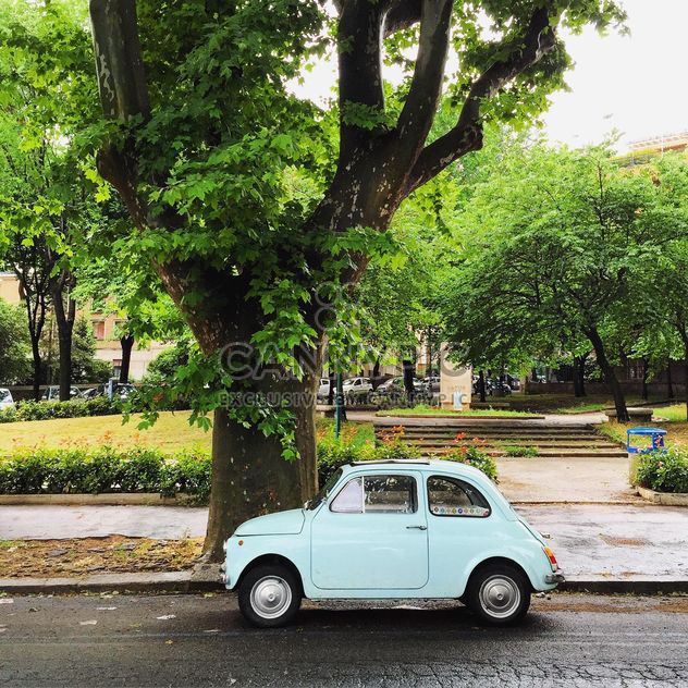 Old white Fiat 500 in park - Kostenloses image #332365