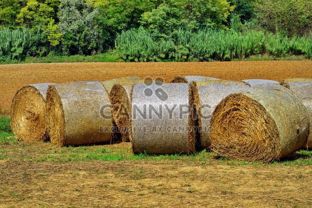 Countryside agriculture - Free image #333735