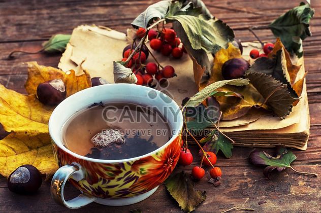 Cup of tea, dry leaves and old book - бесплатный image #339235