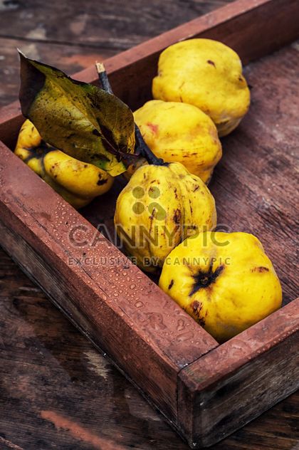 Quinces in wooden box close-up - Free image #342595