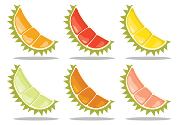 Variant of Durian - бесплатный vector #342635