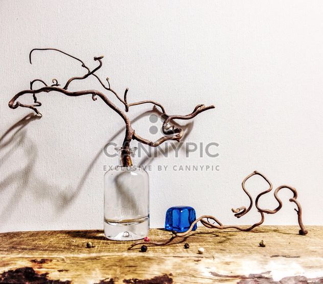Still life with branch in bottle - Kostenloses image #345065
