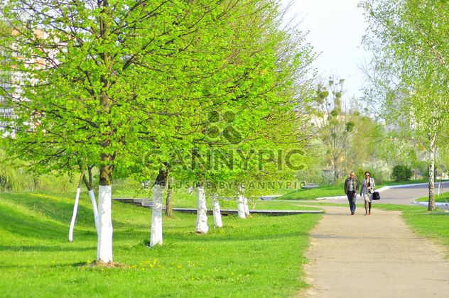People walking in spring park - image gratuit #345095 