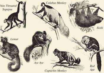 Old Style Drawing Mammals - бесплатный vector #346015