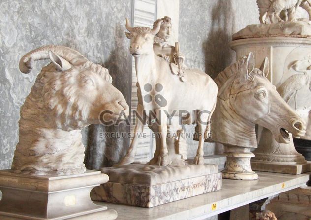 Sculptures of animals in museum, Vatican, Italy - image #346185 gratis