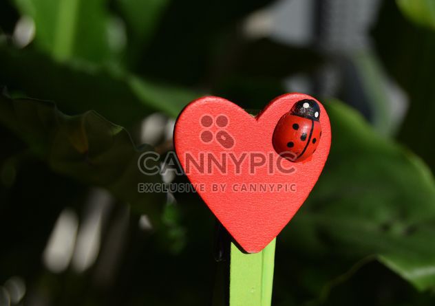 Decorative heart with toy ladybug - image gratuit #346585 
