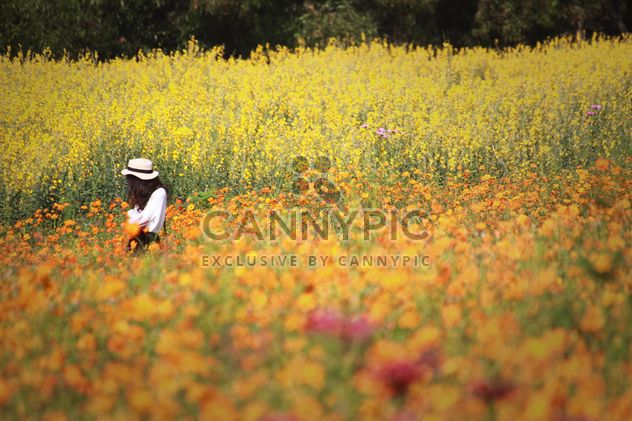 Stylish brunette girl in field of flowers - image gratuit #347325 