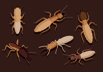 Termite Vectors - vector gratuit #347575 