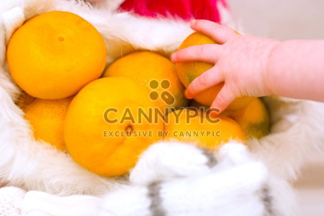Tangerines in small hand closeup - Free image #347995