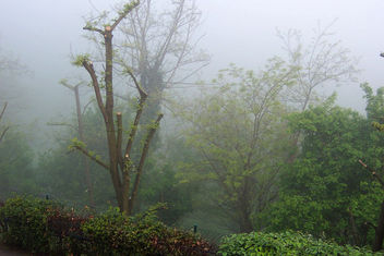 Italy (Dozza, Toscana) Misty morning - Kostenloses image #350195