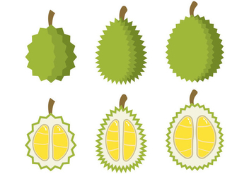 Durian Vector - Kostenloses vector #353245
