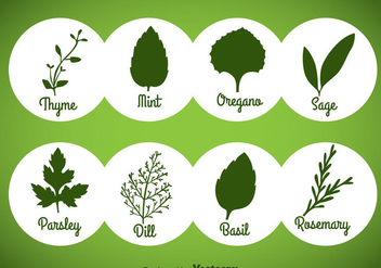 Herbs And Spices Green Icons Vector - бесплатный vector #357815