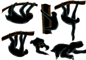 Sloth Animal Silhouette - Free vector #362195