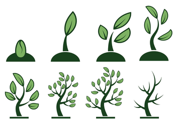 Free Grow Up Vector - Free vector #368245