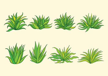 Maguey Plant - Free vector #368655