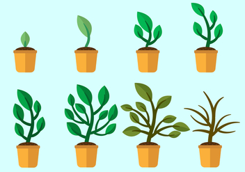 Free Grow Up Plants Vector - бесплатный vector #369025