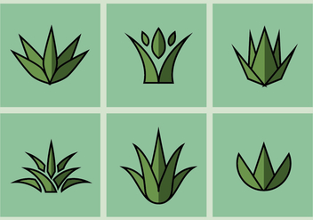 Maguey Vector Illustrations - Free vector #371215