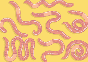 Free Earthworm Icons Vector - Free vector #383225