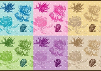 Protea Patterns - Free vector #383805