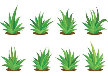 Free Maguey Vector Set - Free vector #386305