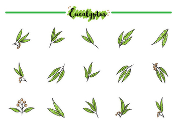 Free Eucalyptus Icons - vector #386515 gratis