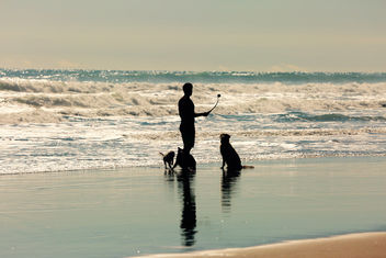 Reflecting on Man and His best friend - image gratuit #387065 