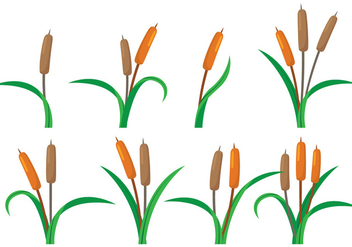 Cattails Vector - Free vector #387235