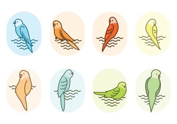 Free Budgie Vector - Free vector #388325