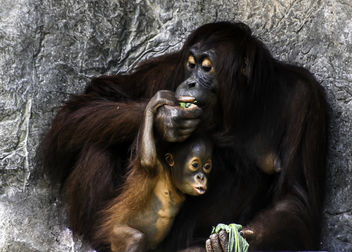 Mother and Child Share a Meal - Kostenloses image #389805