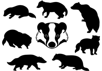Free Honey Badger Icons Vector - бесплатный vector #394255