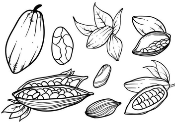 Free Hand Drawn Cocoa Beans Vector - vector gratuit #395025 