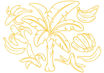 Free Banana Illustration Vector - Kostenloses vector #399635