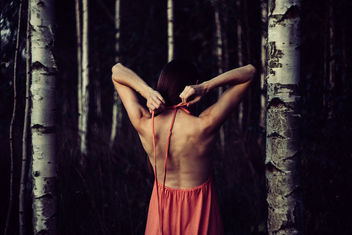 Backless dress in the woods - бесплатный image #400625