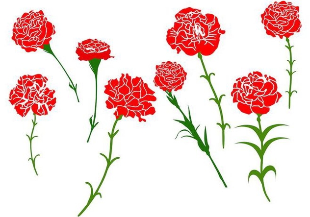 Free Carnation Flower Vector - бесплатный vector #401205