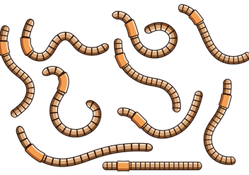 Earthworm Vector 4 - Kostenloses vector #401925