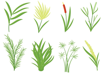 Free Reeds Icons Vector - Free vector #403155
