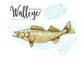 Free Walleye Background - Free vector #403605