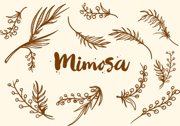 Free Hand Drawn Mimosa Plant Vector - Kostenloses vector #406075