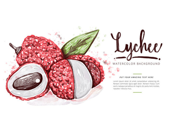 Free Lychee Background - Kostenloses vector #407335