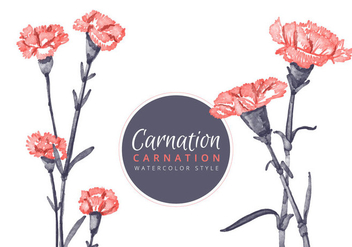 Free Carnation Flowers Background - vector #413015 gratis