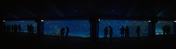 Aquarium Panoramic - image gratuit #415315 