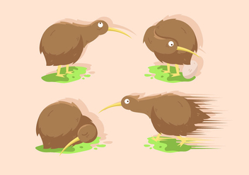 Kiwi Bird Vector Illustration Sets - Kostenloses vector #418815