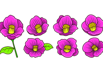 Set Of Camellia Vectors - vector gratuit #420525 