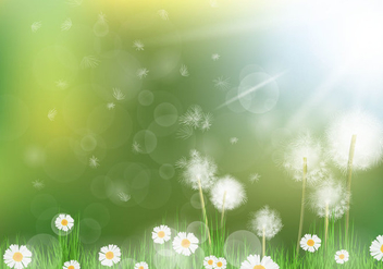 Beautiful Dandelion Background - Kostenloses vector #423595