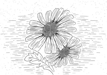 Free Vector Flower Illustration - Free vector #423725