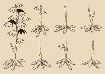 Hand Drawn Cassava Tree Free Vector - vector gratuit #424745 