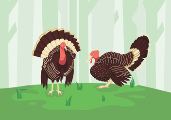 Wild turkey green forest illustration - vector gratuit #426115 