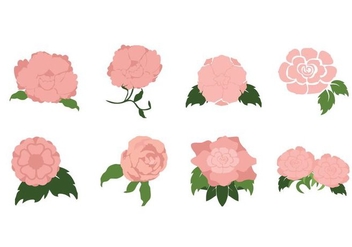Free Romantic Camellia Flower Vector - vector gratuit #426145 